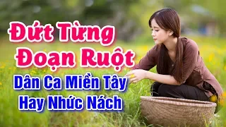 Nhạc Sống Miền Tây - Đứt Từng Đoạn Ruột, Con Đò Lỡ Hẹn - Giọng Ca Miền Tây Nghe Là Say