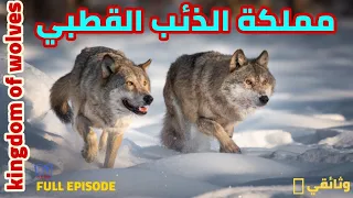 وثائقي I مملكة الذئب القطبي: ملكة الذئاب | ناشونال جيوغرافيك أبوظبي