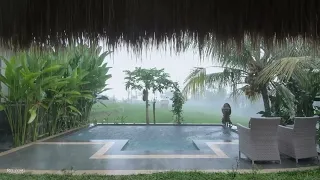 Heavy Rain Pour & Thunder Rumble in Backyard Pool   Perfect for Sleep, Relaxation, Insomnia, PTSD 1