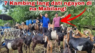 Nagsimula sa 7 Kambing Sa backyard ngayon Milyonaryo na dahil sa Kambing