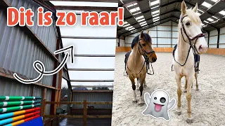 HET DAK IS ER AF & hele onstuimige training... | felinehoi VLOG #529