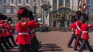 London Unveiled: A Heartbeat from the British Capital