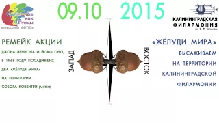 Анонс: "Жёлуди за мир",  9 октября 2015г.