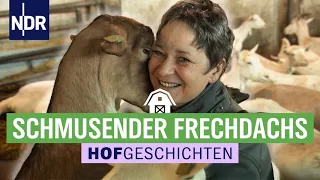 Frühes Aufstehen für entspannte Ziegen | Hofgeschichten: Leben auf dem Land (213) | NDR