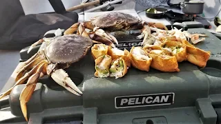 Was I a Victim of Poachers? Catch and Cook Dungeness Crab - MOUTH WATERING Unique Recipe
