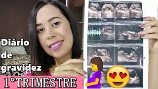 DIÁRIO DE GRAVIDEZ - 1°TRIMESTRE - Tive um  Hematoma Subcoriônico | Dai Sinis