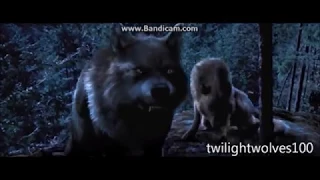 Twilight Wolves-E.T (Katy Pary)