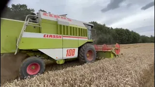 Zniwa 2023. Claas Dominator 108