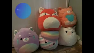 My Squishmallow Collection