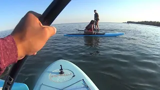 How much fun is a stand up paddle board lesson on Lake Ontario, Toronto, Canada?