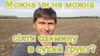 Можна чи не можна сіяти озимину в сухий грунт