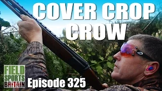 Fieldsports Britain - Cover Crop Crow