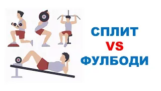 СПЛИТ vs ФУЛБОДИ: на мышечную массу и силу | Обзор исследования