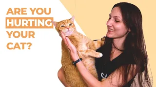 Are You Accidentally Hurting Your Cat? Avoid These 7 Things