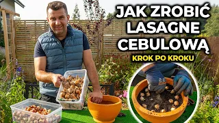 Lasagna cebulowa. 3 propozycje. Piękne donice na zimowy taras #tulipany