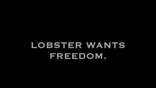 Lobster - Trailer