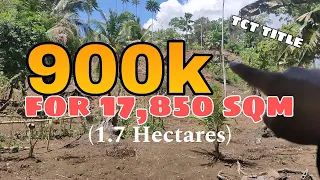 lot #30 | 1.7 Hectares Farmland for only 900k near to provincial Road .