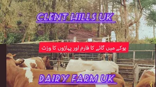 A BEAUTIFUL VISIT Of DAIRY FARM AND HILLS ,Clent hills amazing place ,#travel #uk #dairyfarm#Hills