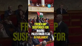 French MP Suspended for Waving Palestinian Flag in Parliament