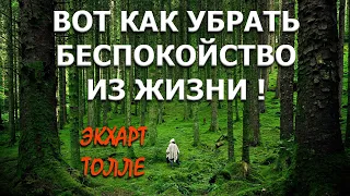 ВОТ КАК УБРАТЬ БЕСПОКОЙСТВО! [Э. ТОЛЛЕ(ЛЕКЦИИ), озв. НикОшо]