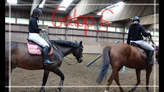 CENTRE ÉQUESTRE - Passage galop 6 saut d'obstacles