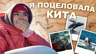 Путешествие с КИТАМИ по Мексике VLOG / китовый кекс, тихий океан и наслаждение