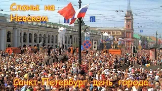 CCTV Слоны на Невском проспекте Санкт-Петербург 315 день города 2018