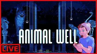 Animal Well | How you been? | Rd to 1.2k