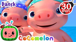 De tre små grise | Three Little Pigs | CoComelon klassiske børnerim | CoComelon Dansk