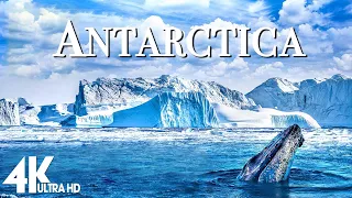 ANTARCTICA 4K - Scenic Relaxation Film With Calming Music (4K Video Ultra HD)