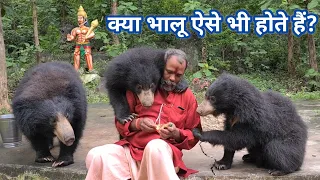 Bears at Mungai Mata Mandir मुंगई माता मंदिर भालू दर्शन Shankar Nayak