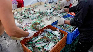 From Sea to Table ! The Freshest Live to Slaughter Seafood at 5 Taiwan Restaurants