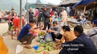 Robert sells young corn and wild ginseng at the highland market. Green forest life (ep234)