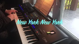 New York New york -  Live played on the Genos