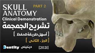Skull Anatomy | أسهل طريقة لفهم  تشريح الجمجمة  Part [ 2/2 ]