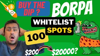 Buy This #Crypto Dip ? 100 Whitelist Spots #Borpa $200 to $20000 ?