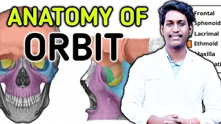 anatomy of orbit ||eye orbit anatomy fully explained by a easy trick ||orbit part:1 ||2021