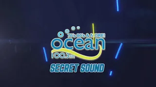 Secret Sound Reveal 2