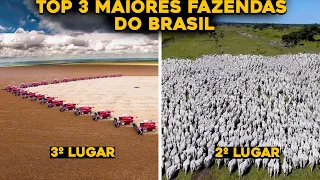 TOP 3 MAIORES FAZENDAS DO BRASIL ATUALIZADO - FAZENDAS GIGANTES!