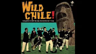 Various – Wild Chile! : Collection of 60's Chilean Rock N Roll, Pop Garage Surf Shake Music Album LP
