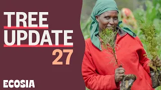 Exciting News From all Over Africa | Tree Update 27