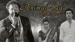 Animal Sad Songs Mashup | Satranga | Sari Duniya Jala Denge | Hua Main | Chillout | #sadlofisong