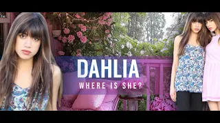 MISSING?! | Where Are Dahlia + Dia? | Lima From Aura's Twin Sisters | We Have Not Forgotten