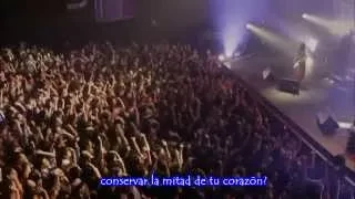 Stereopony - Hanbunko Final Live Sub Español