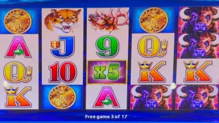 BUFFALO DELUXE WINS #slotman #casino #download #chumashcasino