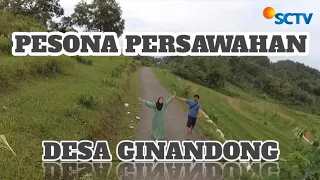 NYORE DI JALAN GINANDONG-PENIMBUN "PESONA PERSAWAHAN"