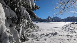 RIESIGE Schneemengen im Oberallgäu! 60cm+! Bei bestem Winterwetter Live vor Ort!