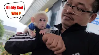 Baby Monkey David reacts humorously when he suddenly sees a stranger