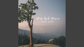 Stop and Stare (Acoustic Version)