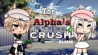 The Alpha’s Crush //Gacha Life [GLMM]